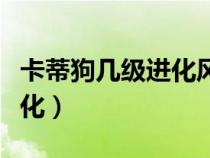 卡蒂狗幾級(jí)進(jìn)化風(fēng)速狗白金光(卡蒂狗幾級(jí)進(jìn)化) 卡蒂狗幾級(jí)進(jìn)化風(fēng)速狗白金光(卡蒂狗幾級(jí)進(jìn)化)