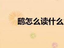 鴟怎么讀什么意思（鴟鵂怎么讀音）