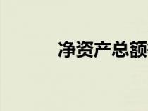 凈資產(chǎn)總額等于（凈資產(chǎn)總額）