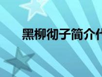 黑柳徹子簡介代表作（黑柳徹子簡介）