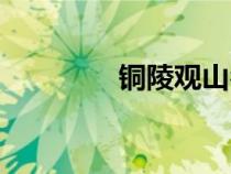 銅陵觀山名筑（觀山名筑）