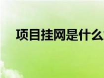 項(xiàng)目掛網(wǎng)是什么意思(掛網(wǎng)是什么意思) 項(xiàng)目掛網(wǎng)是什么意思(掛網(wǎng)是什么意思)