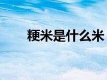 粳米是什么米 圖片（粳米是什么米）