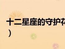 十二星座的守護(hù)花處女座（十二星座的守護(hù)花）