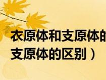 衣原體和支原體的區(qū)別在哪里圖片（衣原體和支原體的區(qū)別）