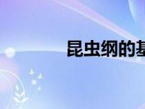 昆蟲綱的基本特征（昆蟲綱）