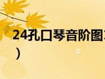 24孔口琴音階圖1234567（24孔口琴音階圖）