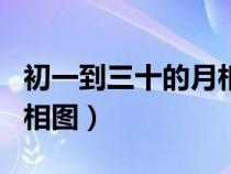初一到三十的月相圖及名稱(chēng)（初一到三十的月相圖）