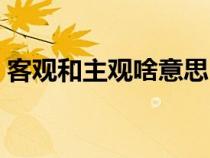 客觀和主觀啥意思（客觀和主觀是什么意思）