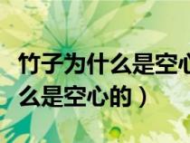 竹子為什么是空心的而且還耐寒呢（竹子為什么是空心的）