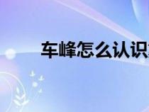 車峰怎么認(rèn)識戴蓉（車峰老婆戴蓉）