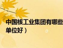 中國(guó)核工業(yè)集團(tuán)有哪些下屬單位（中國(guó)核工業(yè)集團(tuán)哪個(gè)下屬單位好）