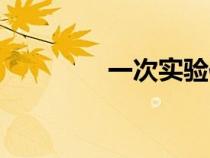 一次實(shí)驗(yàn)作文（實(shí)驗(yàn)作文）