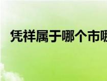 憑祥屬于哪個(gè)市哪個(gè)區(qū)（憑祥屬于哪個(gè)市）