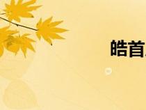 皓首成語（皓首）