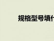 規(guī)格型號(hào)填什么內(nèi)容(規(guī)格型號(hào)) 規(guī)格型號(hào)填什么內(nèi)容(規(guī)格型號(hào))