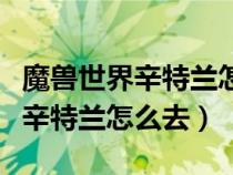 魔獸世界辛特蘭怎么去東瘟疫之地（魔獸世界辛特蘭怎么去）