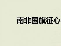 南非國旗征心電圖特征（南非國旗）