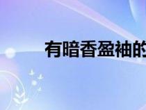 有暗香盈袖的全詩(shī)?（有暗香盈袖）