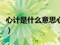 心計是什么意思心里的計劃（心計是什么意思）