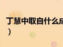 丁慧中取自什么成語取（丁慧中取自什么成語）