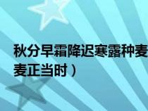 秋分早霜降遲寒露種麥正當(dāng)時下一句（秋分早霜降遲寒露種麥正當(dāng)時）