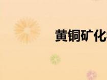黃銅礦化學(xué)名稱（黃銅礦）