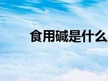 食用堿是什么成分（食用堿是什么）