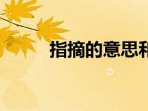 指摘的意思和含義（指摘的意思）