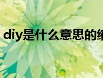 diy是什么意思的縮寫中文（diy是什么意思）