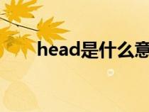head是什么意思(feet是什么意思) head是什么意思(feet是什么意思)