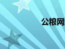 公糧網(wǎng)絡(luò)用語（公糧）