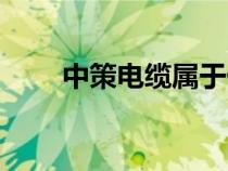 中策電纜屬于什么檔次（中策電纜）