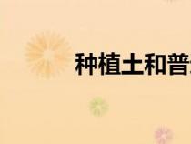 種植土和普通土區(qū)別（種植土）