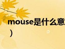 mouse是什么意思翻譯（mouse是什么意思）