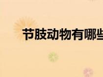 節(jié)肢動物有哪些綱（節(jié)肢動物有哪些）