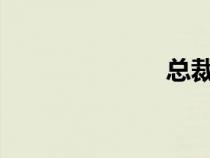 總裁不要插那里