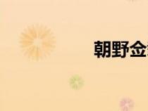 朝野僉載讀音（朝野）