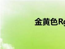 金黃色Rgb（金黃色rgb）