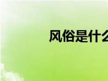 風俗是什么（風俗店是什么）