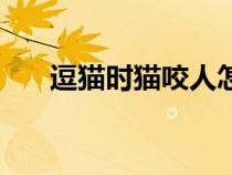 逗貓時(shí)貓咬人怎么辦（貓咬人怎么辦）