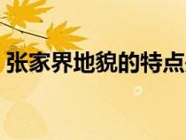 張家界地貌的特點(diǎn)是什么（張家界地貌特點(diǎn)）