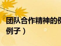 團(tuán)隊(duì)合作精神的例子有哪些（團(tuán)隊(duì)合作精神的例子）