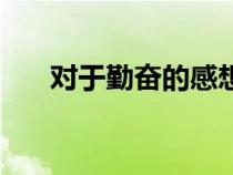 對于勤奮的感想簡短（對勤奮的感受）