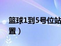 籃球1到5號位站位圖解（籃球場上的五個位置）