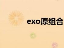 exo原組合（原exo成員資料）