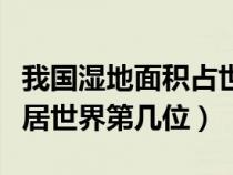 我國濕地面積占世界第幾位（我國的濕地面積居世界第幾位）