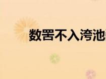 數(shù)罟不入洿池翻譯（數(shù)罟不入洿池）