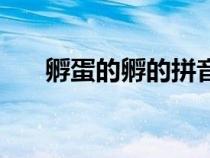 孵蛋的孵的拼音和組詞（孵蛋的讀音）