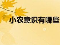 小農(nóng)意識有哪些（小農(nóng)意識是什么意思）